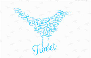 CSS3 Font Bird