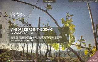 Suavia Wines