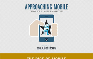 Blue Ion Go Mobile Guide