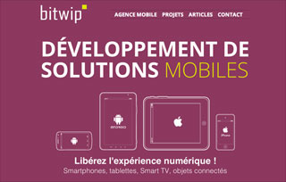 Bitwip