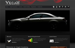 VegaH Academy