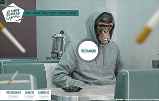 Le singe fume sa cigarette.