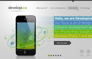 Developica software