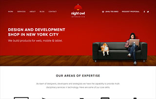 Night Owl Interactive