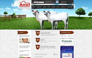Anel