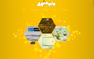 Apicula