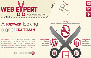 Web Expert