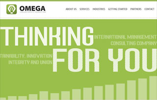 Omega Consulting and Marketing