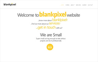 Blank Pixel