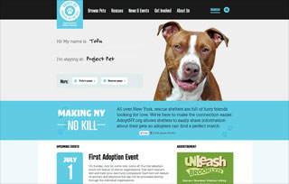 Adopt NY