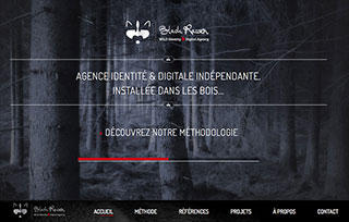 BlackRaccoon - Wild Identity