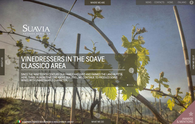 Suavia Wines