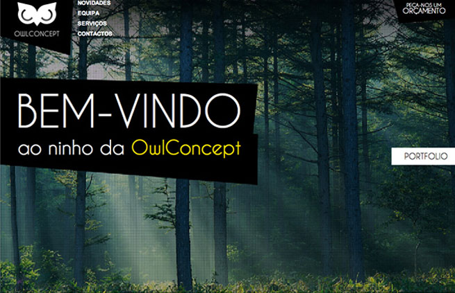 OwlConcept